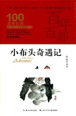 百年百部中国儿童文学经典书系  小布头奇遇记  精装典藏版