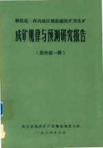 攀枝花-西昌地区钒钛磁铁矿共生矿：成矿规律与预测研究报告（附件第1册）