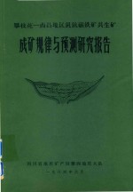 攀枝花-西昌地区钒钛磁铁矿共生矿成矿规律与预测研究报告