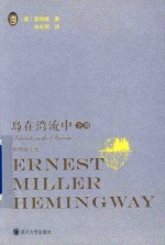 岛在湾流中  下