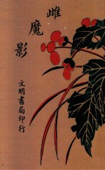 雌魔影  儆世小说