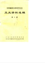 甘孜藏族自治州泸定县文史资料选辑  第2辑