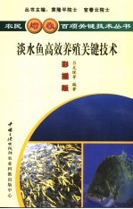 淡水鱼高效养殖关键技术  彩插版