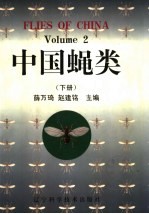 中国蝇类  下