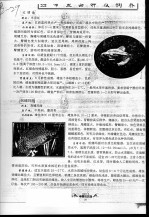 热带鱼品种及饲养  红裙鱼  帆鳍玛丽  菠萝鱼