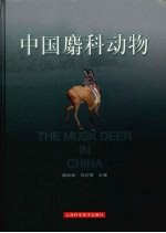 中国麝科动物