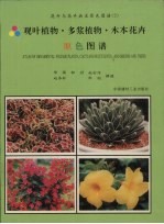 观叶植物·多浆植物·木本花卉原色图谱