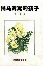 捅马蜂窝的孩子 封面