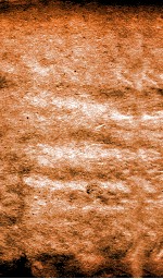 恪靖奏稿初编  6