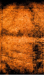 王凤洲%袁%纲鉴合编  8