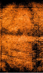 王凤洲%袁%纲鉴合编  9