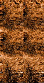 雪樵经解  卷6-11