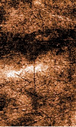 闺媛典  卷230-236