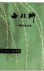 西北柳 封面