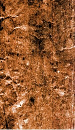 雪窦和尚百则颂古