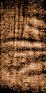 四书文选  钦定启祯四书文  2