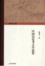 徐苹芳文集  中国历史考古学论集
