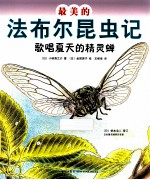 最美的法布尔昆虫记  歌唱夏天的精灵蝉