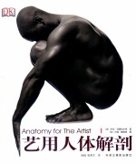 艺用人体解剖