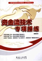 资金流技术专项操练