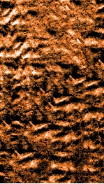 南菁书院丛书  六集第一种至第五种