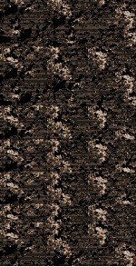 聱隅子  懒真子  广成子解