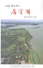 后官湖  国家湿地公园  湖北武汉
