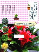 一粒种子的幸福生活  超简单创意无土种花草