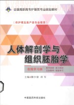 人体解剖与组胚胎学