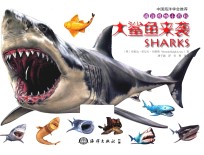 大鲨鱼来袭