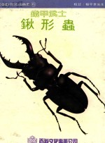 儿童动物常识画册  锹形虫  铁甲武士