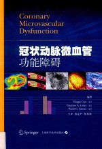 冠状动脉微血管功能障碍