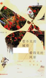 看不见的城市  看得见的风景  南方小城文影录