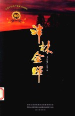 中国民间文学集成  泮林金辉