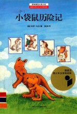 耕林精选大奖小说  小袋鼠历险记