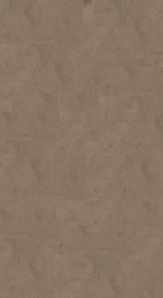 南史八十卷  第4册  明万历三十一年南监刻本