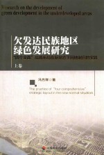 欠发达民族地区绿色发展研究  四个全面战略布局在新常态下因地制宜的实践  上