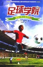 足球学院绿茵少年小说系列  5  国脚光坏下的抉择