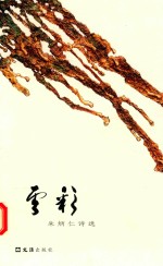 朱炳仁诗选  云彩 电子书封面