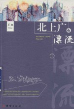 北上广漂流  下