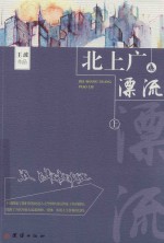 北上广漂流  上