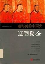 看得见的中国史  辽西夏金
