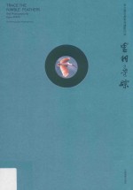 灵羽寻踪  宋立国鸟类系列摄影作品