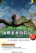 汤姆索亚历险记