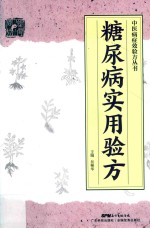 中医病症效验方丛书  糖尿病实用验方