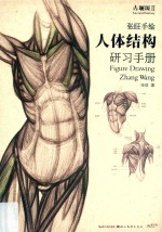 张旺手绘人体结构研习手册