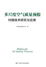 多尺度空气质量预报对接技术研究与应用