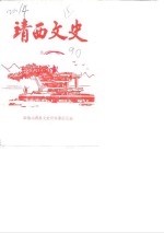 靖西文史资料  第3辑