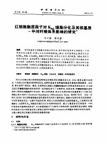 红细胞胞质因子对K562细胞分化及其核基质-中间纤维体系影响的研究