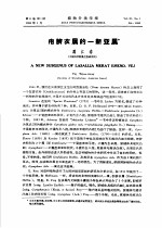 疱脐衣属的一新亚属